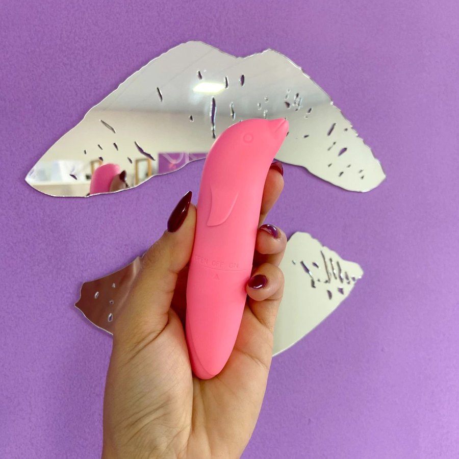 Mini Vibrador Golfinho